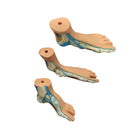 Set mit 3 anatomischen Füßen