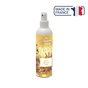 Parfum d'ambiance Surodorant précieux - 2 contenances / 4 senteurs - Sodel Propre Odeur 