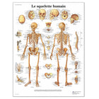 Tavola anatomica - Lo scheletro umano - Anatomia e patologia